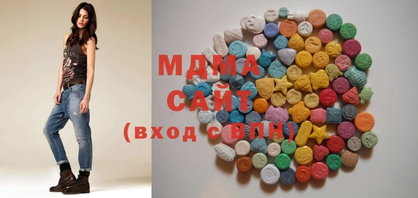 индика Дмитриев