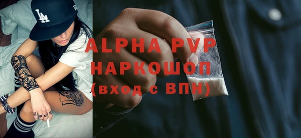 индика Дмитриев