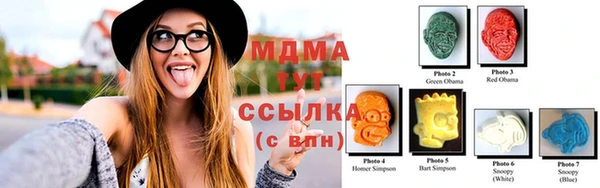 индика Дмитриев