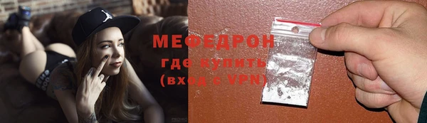 индика Дмитриев