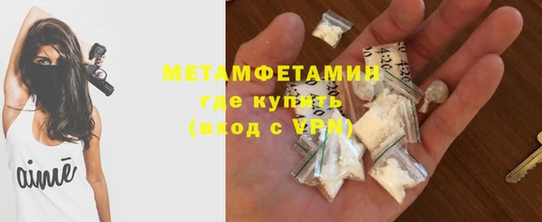 индика Дмитриев