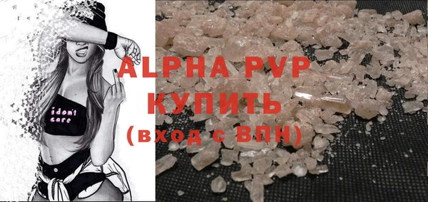 индика Дмитриев