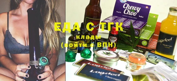 индика Дмитриев