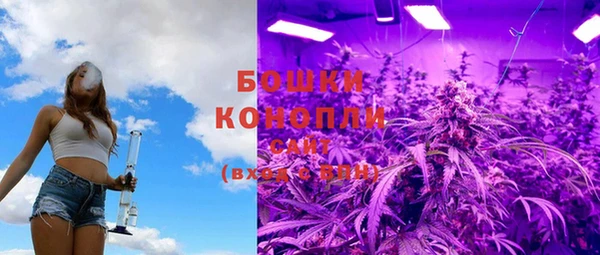 индика Дмитриев