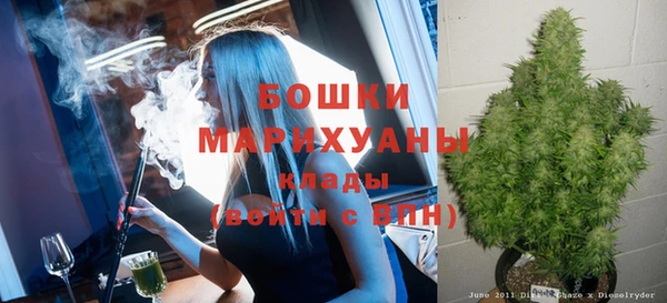 индика Дмитриев