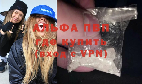 индика Дмитриев