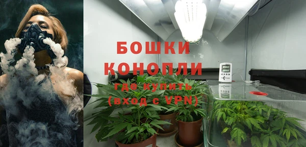 индика Дмитриев