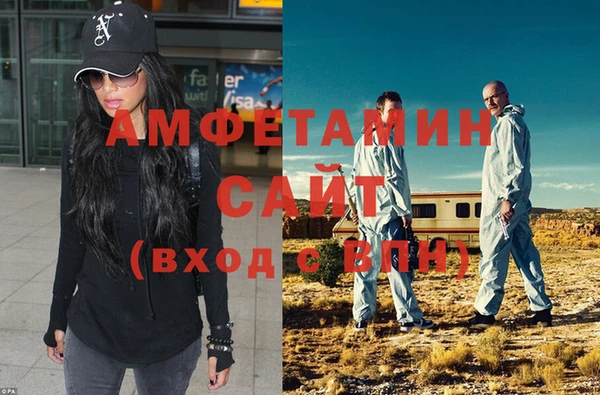 индика Дмитриев