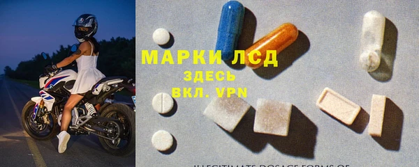 индика Дмитриев