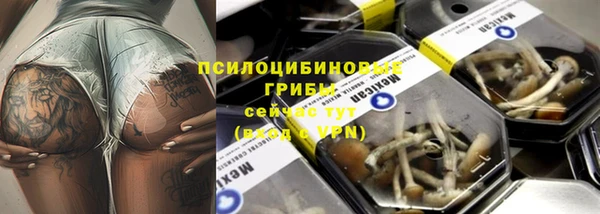 индика Дмитриев